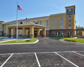 Гостиница Comfort Inn & Suites Dothan East  Дотан